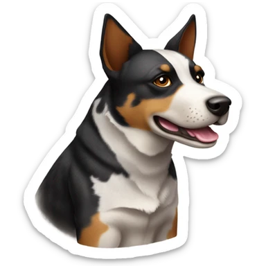 Australian cattle dog black and brown sticker