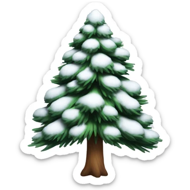 pine tree has snow sticker