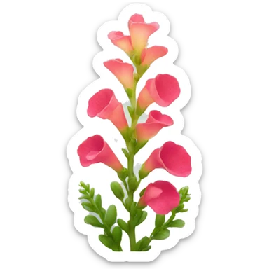 snapdragon flower sticker