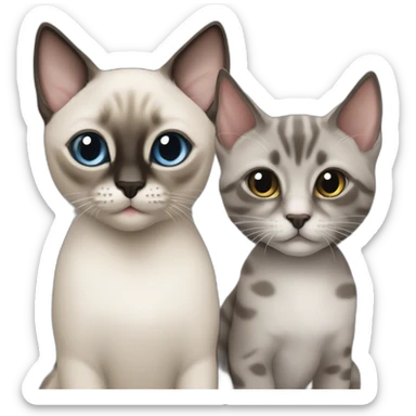1 siamese kitten and 1 grey brindle cat sticker