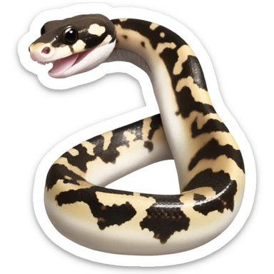 pied ball python sticker