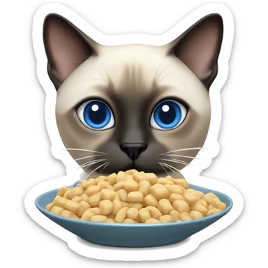 Thai Siamese cat (Blue Point) eating cat food sticker