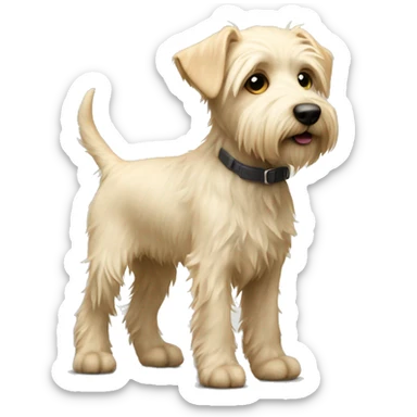 Light blonde terrier puppy with shaggy fur full body skinny legs sticker