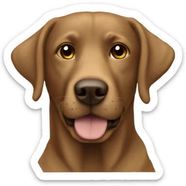 Brown Labrador in a car sticker