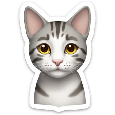 gray and white tabby cat brown eyes full body sticker