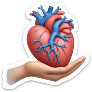 hand holding anatomy heart sticker