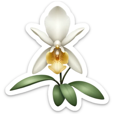 orchid sticker