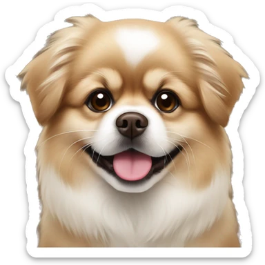 Brown and white Pomeranian Pekingese mix puppy sticker