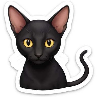 Oriental shorthair black cat sticker
