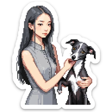 Slim Chinese girl with long black hair petting a dark grey Italian greyhound with a visible grey chest, no white markings anywhere sticker
