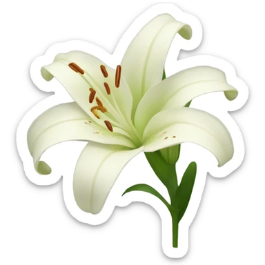 lily flower sticker