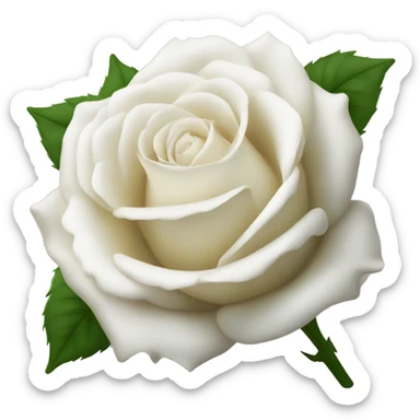 white rose sticker