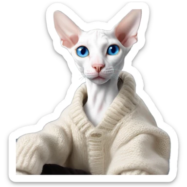 A white Cornish Rex cat with blue eyes sits on a warm sweater sticker