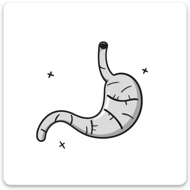 Hand-drawn stomach organ being mended with stitches and healing symbols sticker