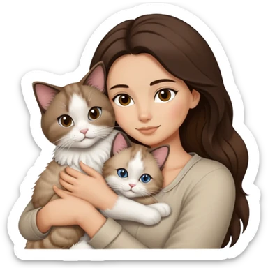 Brunette snuggling ragdoll cat sticker