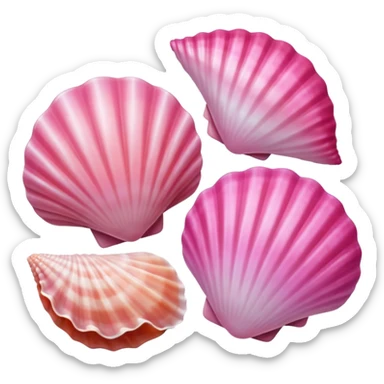 Pink sea shells  sticker