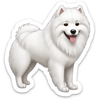 Samoyed sticker