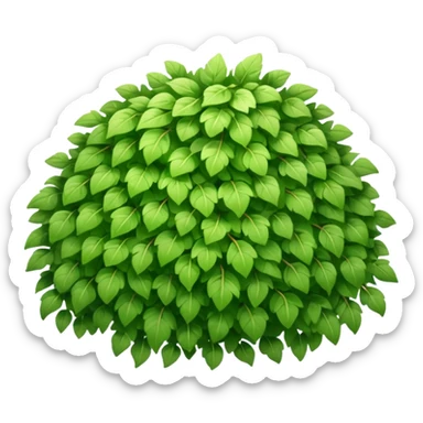 A fluffy bush with soft light-green foliage and hidden twigs. sticker