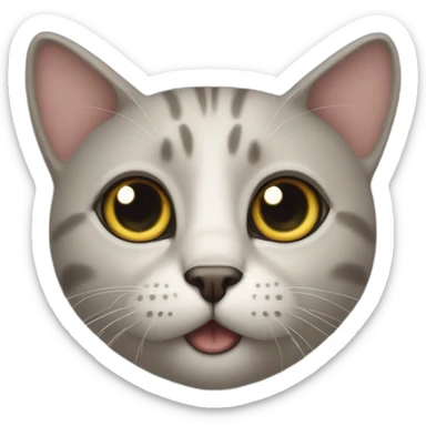 cat with big eyes staring sticker