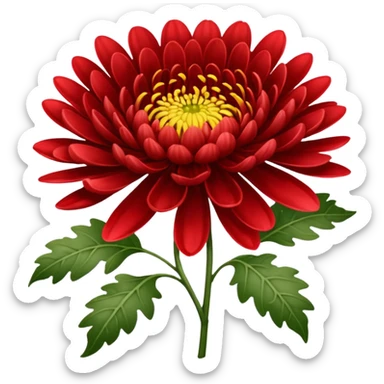 chrysanthemum flower full red sticker