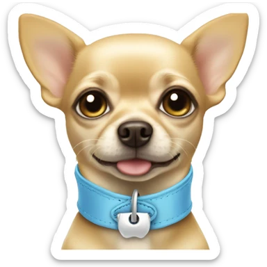Blonde chihuahua with a light blue blowtie collar that says Oscar  sticker