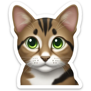 Brown white and black tabby cat with green eyes sticker