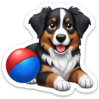 australian shepard holding red and blue ball sticker