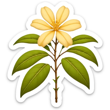 wilted indian jasmine without leaves in emoji format sticker
