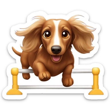 Longhaired dachs with light Brown eyes and Brown nose jumping agility sticker