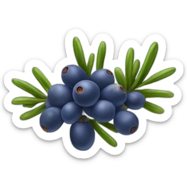 juniper berry sticker