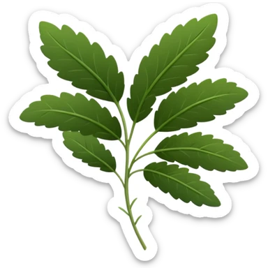 fresh thyme sprig, thin woody stems, clusters of small deep green oval leaves, dense and paired, crisp and delicate, aromatic, soft lighting, emoji scale sticker