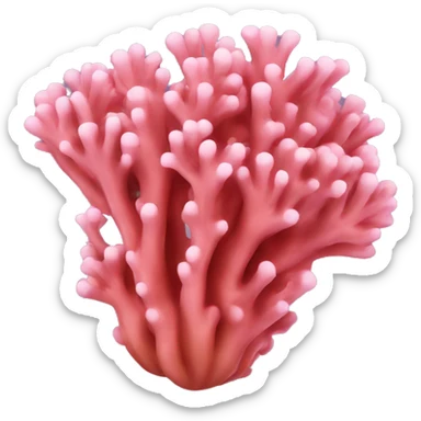 Coral sticker