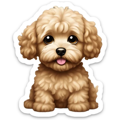 brown maltipoo with black spots sticking his tongue out  sticker
