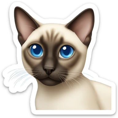 Siamese cat with blue eyes sticker