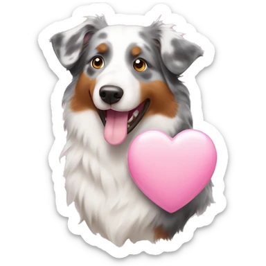 australian shepherd holding light pink heart in its mouth sticker