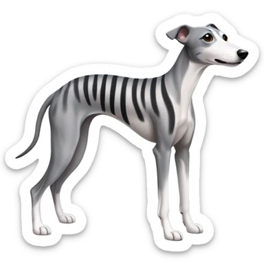 Whippet dog grey with black brindle stripes sticker