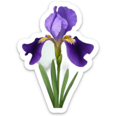 iris flower sticker