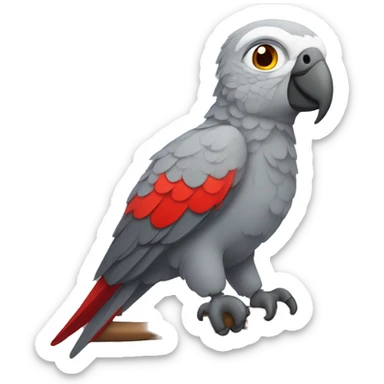 Gray parrot with red tail  sticker