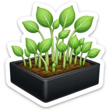 aromatic sprouts thin black box sticker