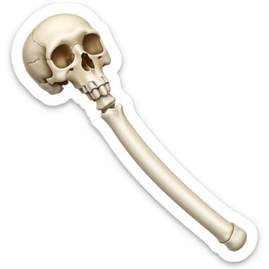 singular long anatomically-correct bone sticker