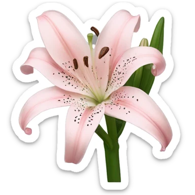 light pink lilium sticker