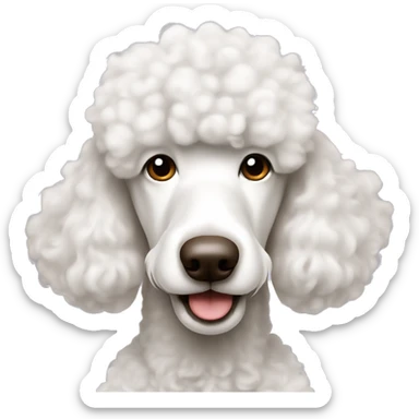 white standard poodle with brown nose  sticker