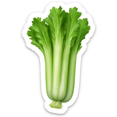 Celery  sticker