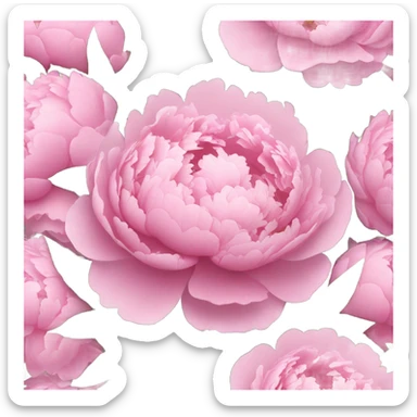 Pink peonies bouquet  sticker