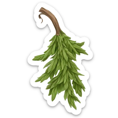 Witches dried herb sticker