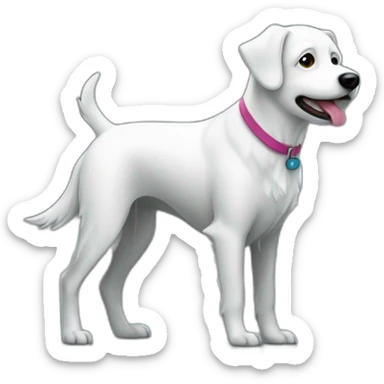 white dog walker in a rain sticker