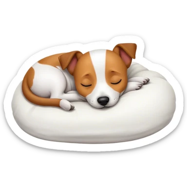 Jack Russel terrier sleeping  sticker
