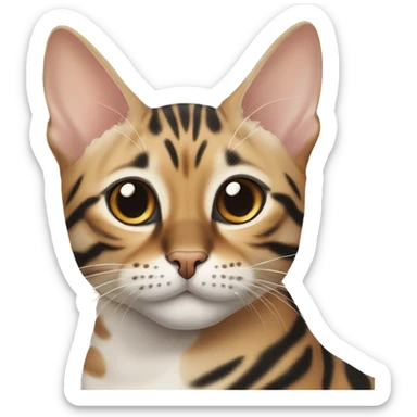 two bengal cats, one of them is warm-white colored, another one is classic black bengal cat sticker