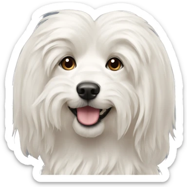 white long hair dog crested malt ears down sticker