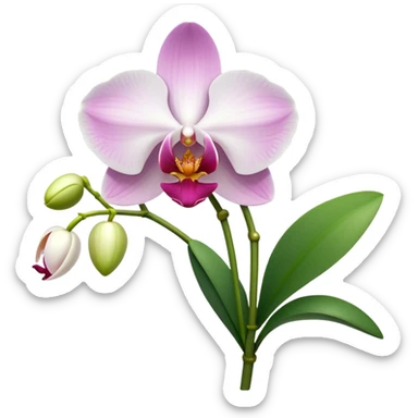 orchid sticker